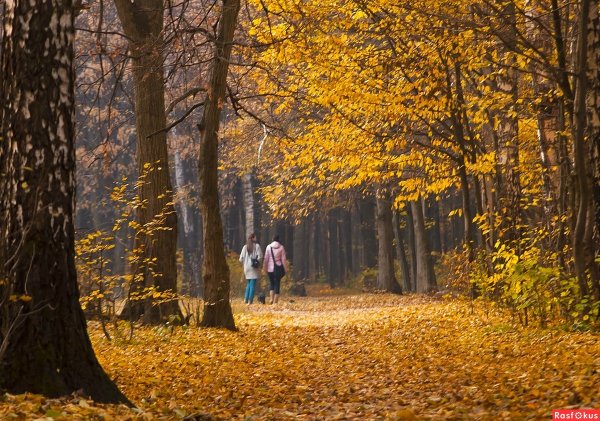 Прогулка в лесу осенью