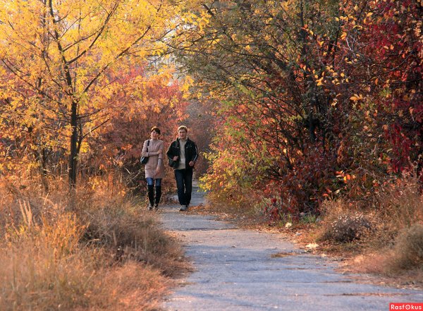 Прогулка по осеннему лесу
