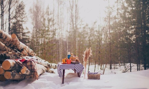 Пикник зимой на природе