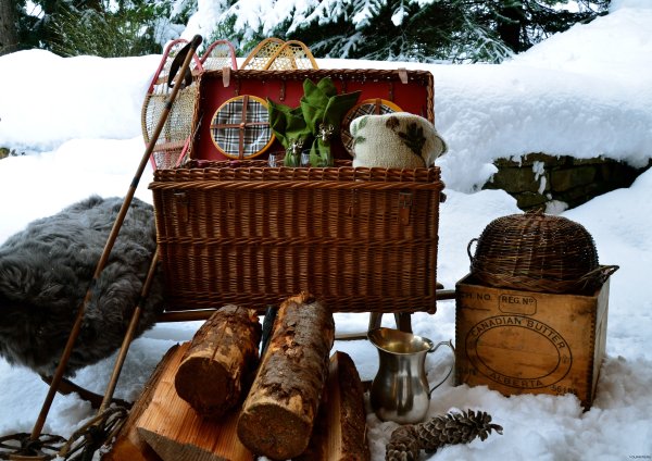 Пикник зимой на природе