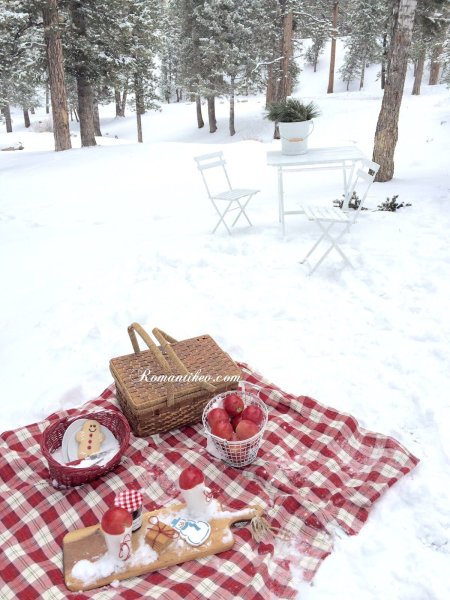 Зимний пикник