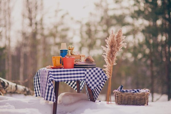 Пикник зимой на природе
