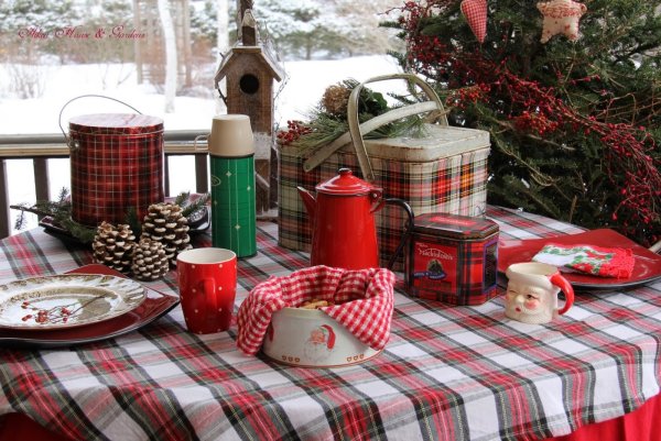 Новогодний пикник на природе