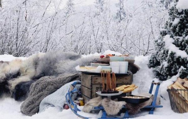 Пикник в зимнем лесу