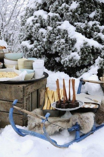 Пикник в зимнем лесу