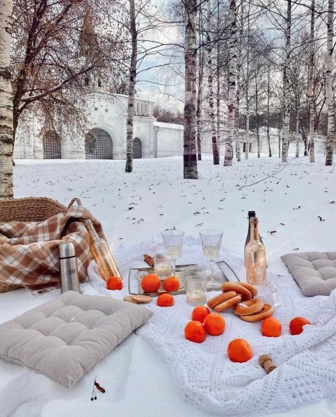 Пикник на улице зимой