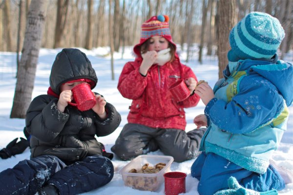 Пикник зимой в лесу