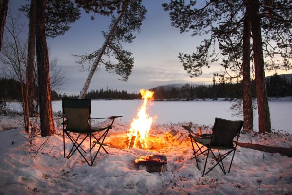 Пикник зимой в лесу