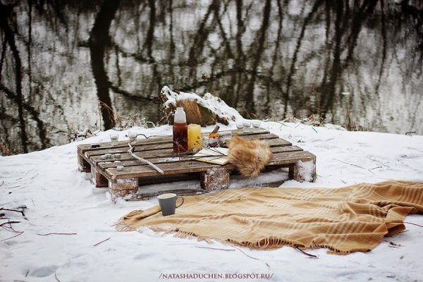 Пикник в зимнем лесу