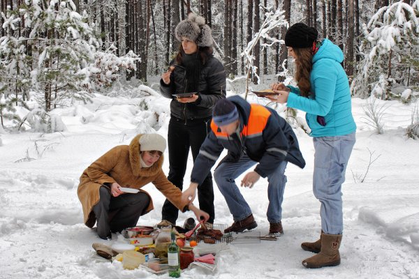 Пикник зимой в лесу