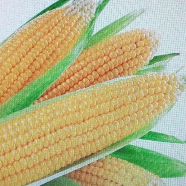 Кукуруза Карамелла