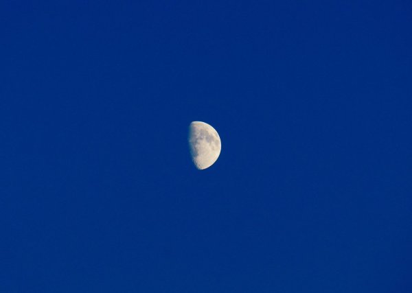 Половинка Луны