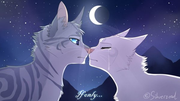 Коты Воители Воробей и половинка Луны