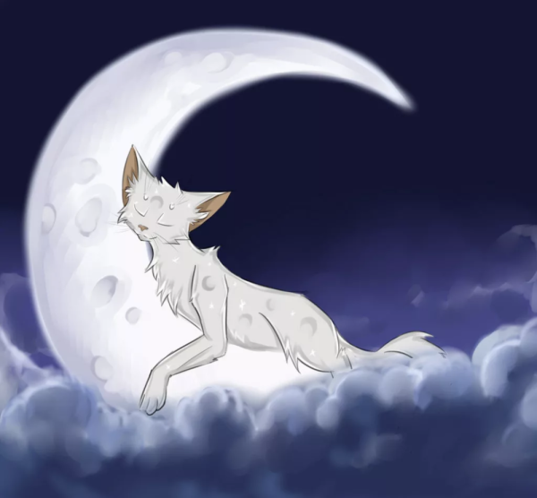 Коты Воители половинка Луны