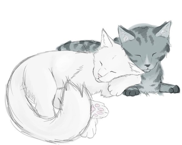 Коты Воители Воробей и половинка Луны