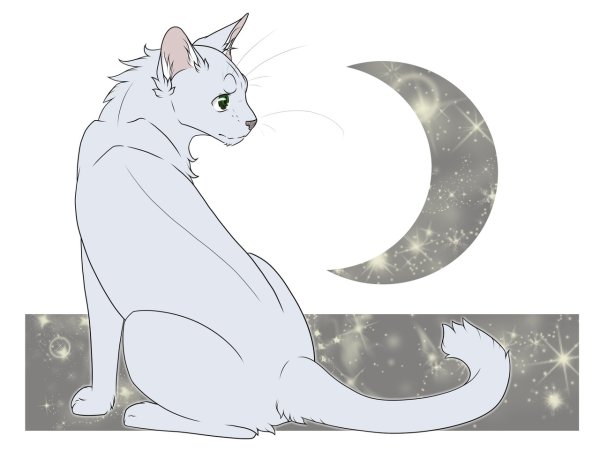 Коты Воители половинка Луны