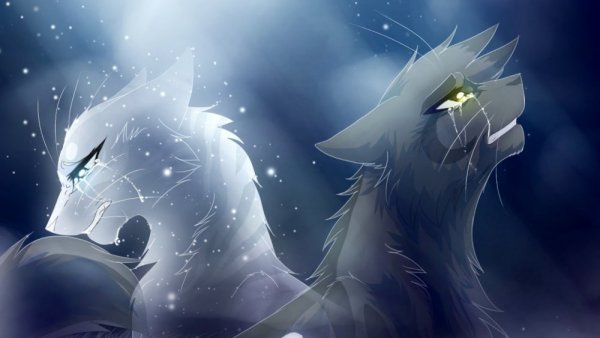 Коты Воители половинка Луны