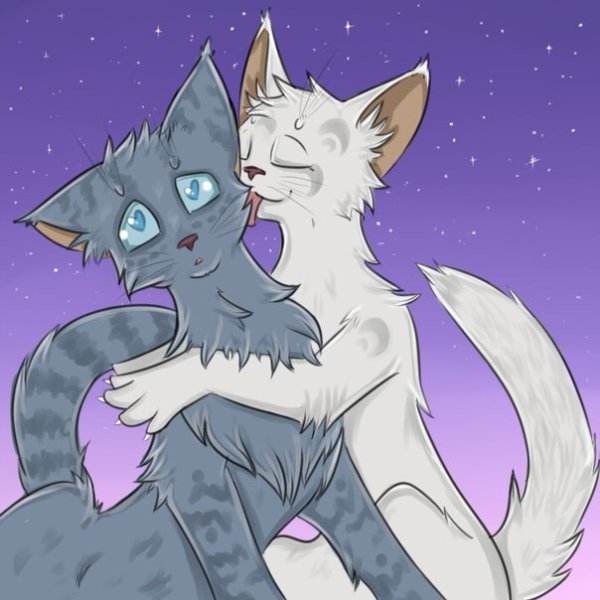 Коты Воители Воробей и половинка Луны