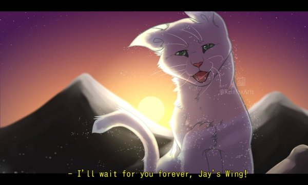 Коты Воители половинка Луны смерть