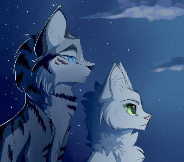 Коты Воители половинка Луны