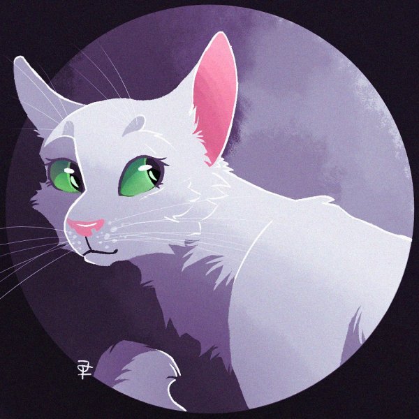 Коты Воители половина Луны