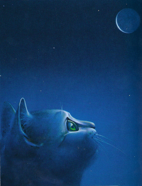 Коты Воители Луна