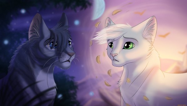 Коты Воители Луна