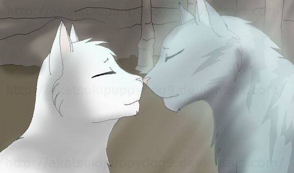 Коты Воители Луна и Белогривка