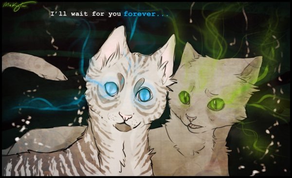 Коты Воители half Moon