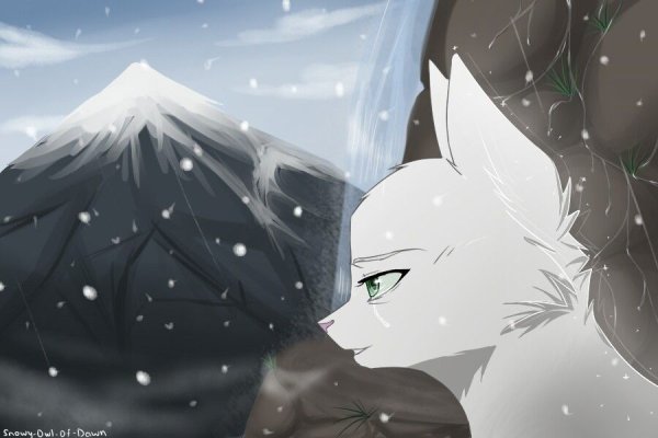 Коты Воители половина Луны