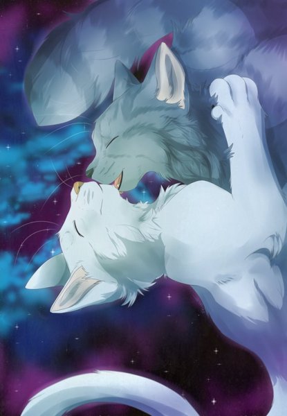 Коты Воители половина Луны