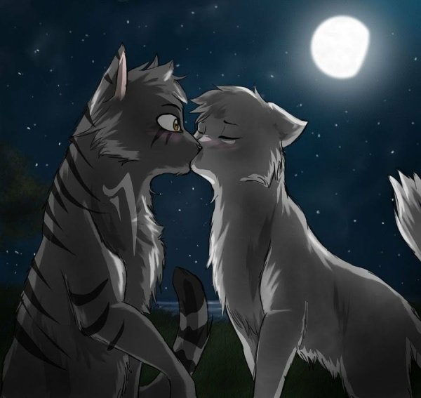 Коты Воители Голубка и Шмель