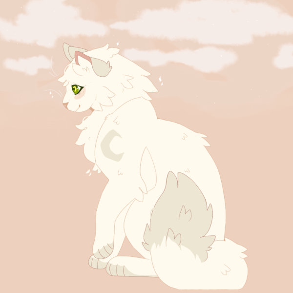 Коты Воители племя Луны и солнца