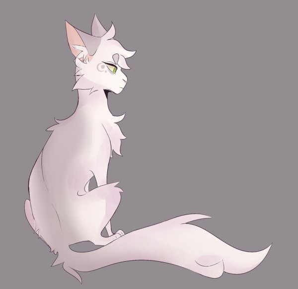 Коты Воители половина Луны