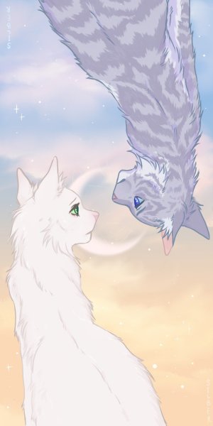 Коты Воители половинка Луны