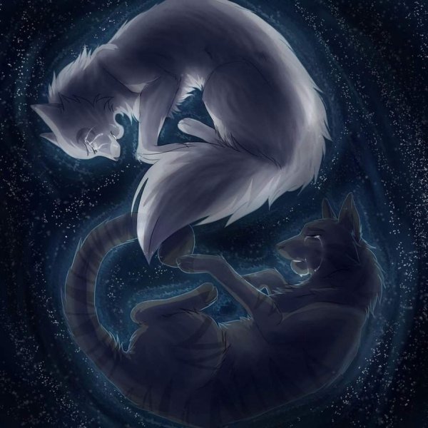 Коты Воители Воробей и половинка Луны