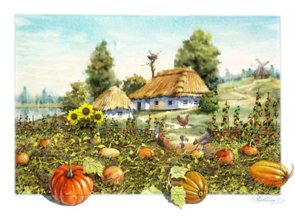 Осенний огород в деревне
