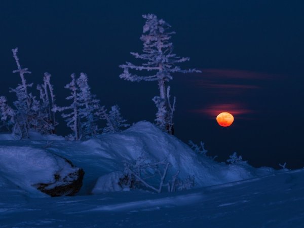 Лунная зимняя ночь