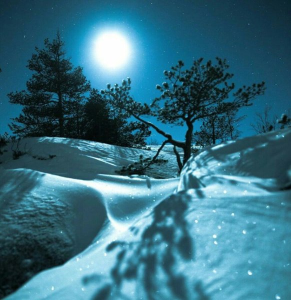 Луна и снег
