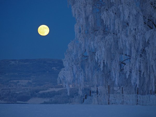 Снежная равнина белая Луна Есенин