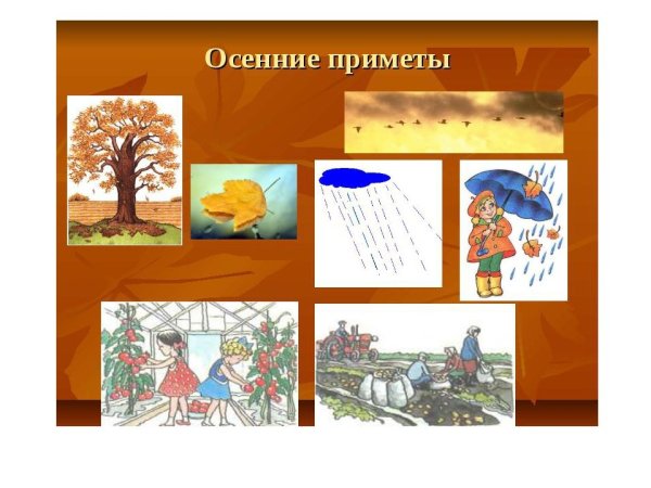 Осенние приметы