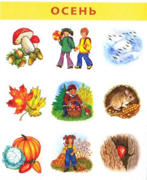Признаки осени для детей