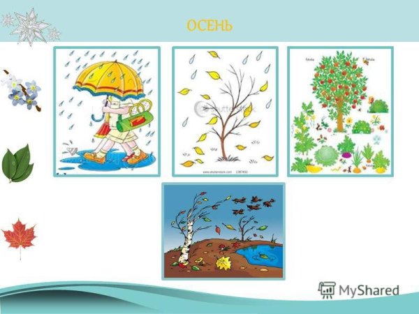 Приметы осени для дошкольников