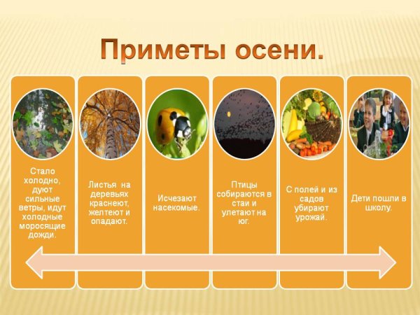 Примеры осени для детей