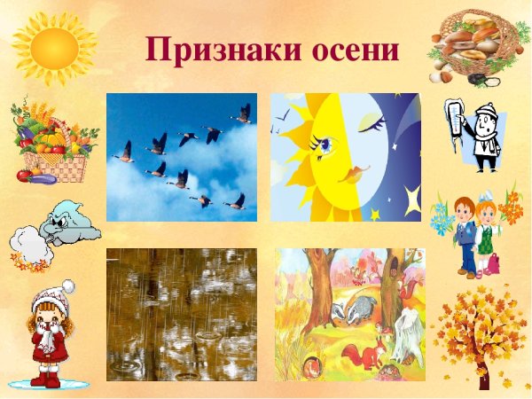 Осень признаки осени