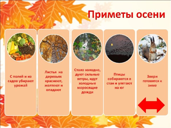 Приметы осени для дошкольников