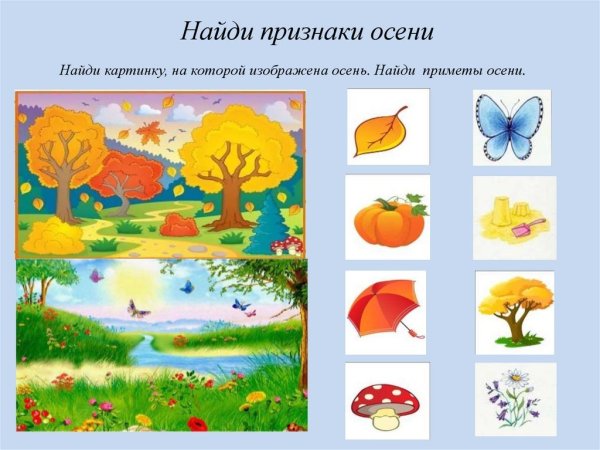 Предметы осени для дошкольников