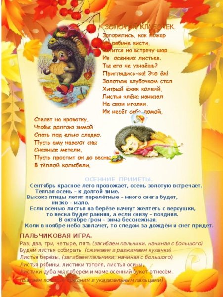 Приметы осени для детей детского сада
