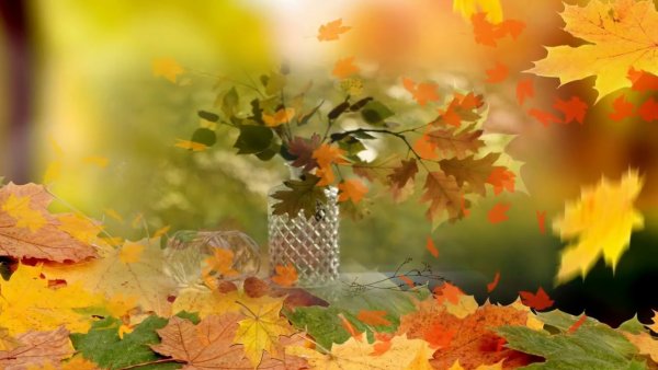 С днем рождения осень