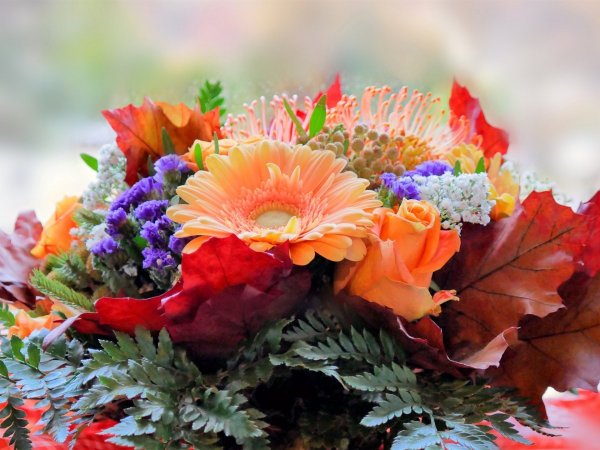 Ариэль Бюто цветы осени